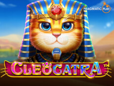 Royal Panda çevrimiçi giriş. Casino gambling software.81